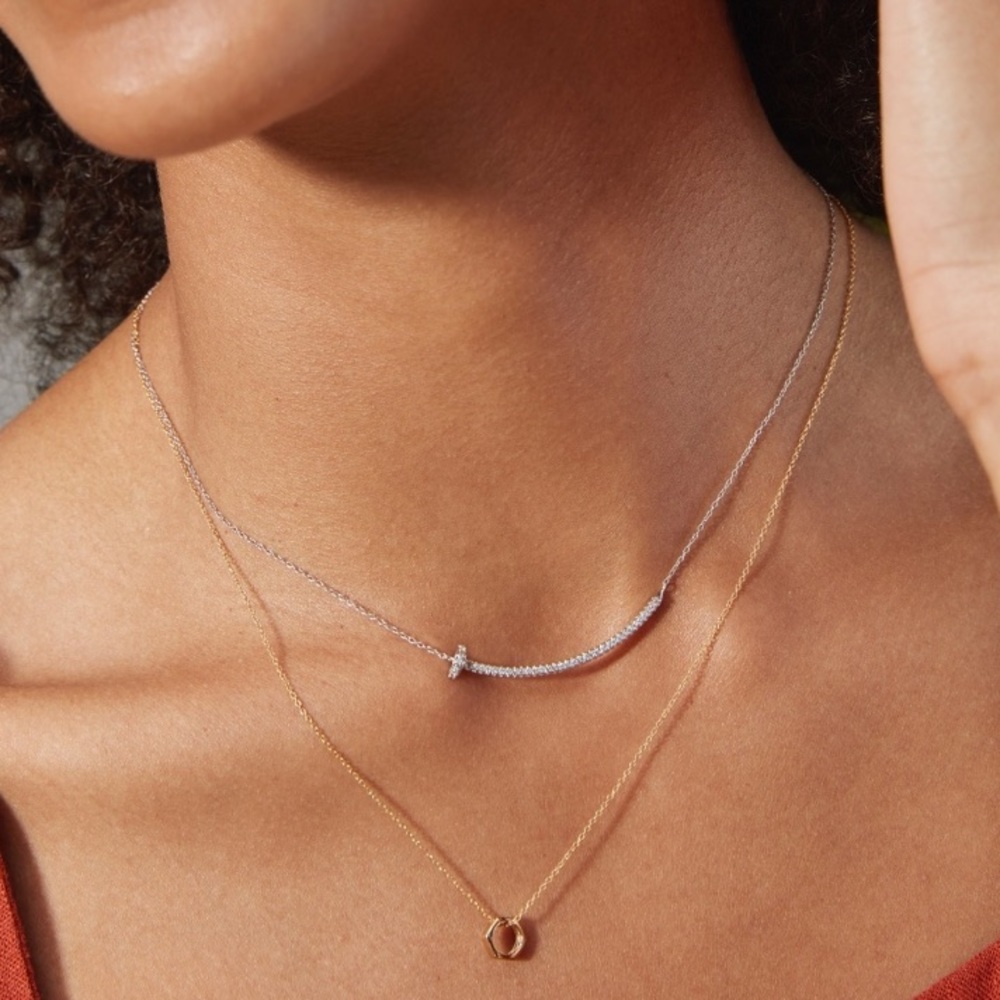 Stella & Dot Mixed Metal Ultra Delicate Hardware Necklace Duo - Picture 3 of 16